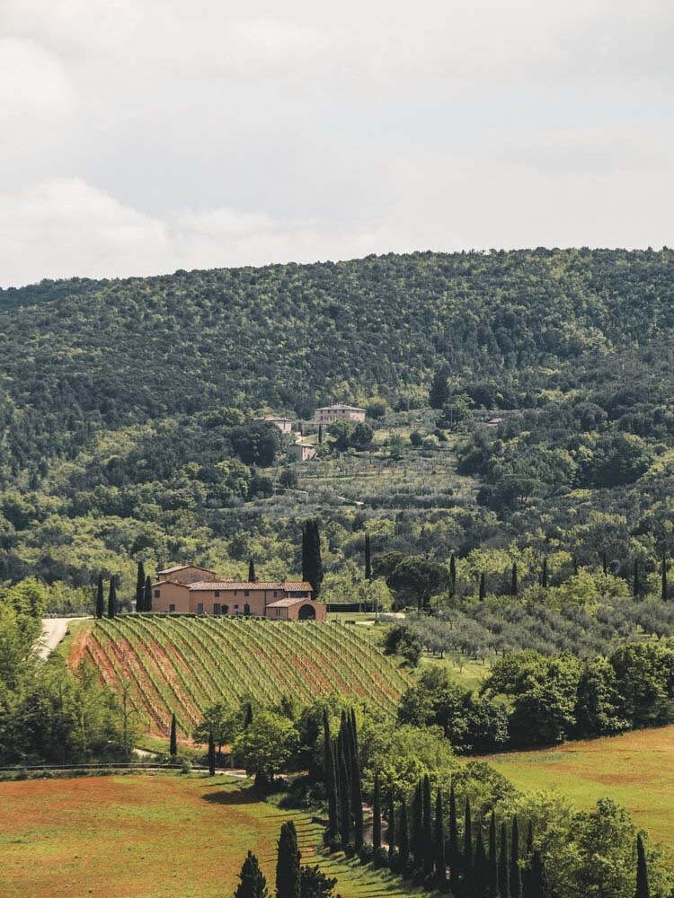 House by a vineyard in Tuscany on a italy itinerary 12 days