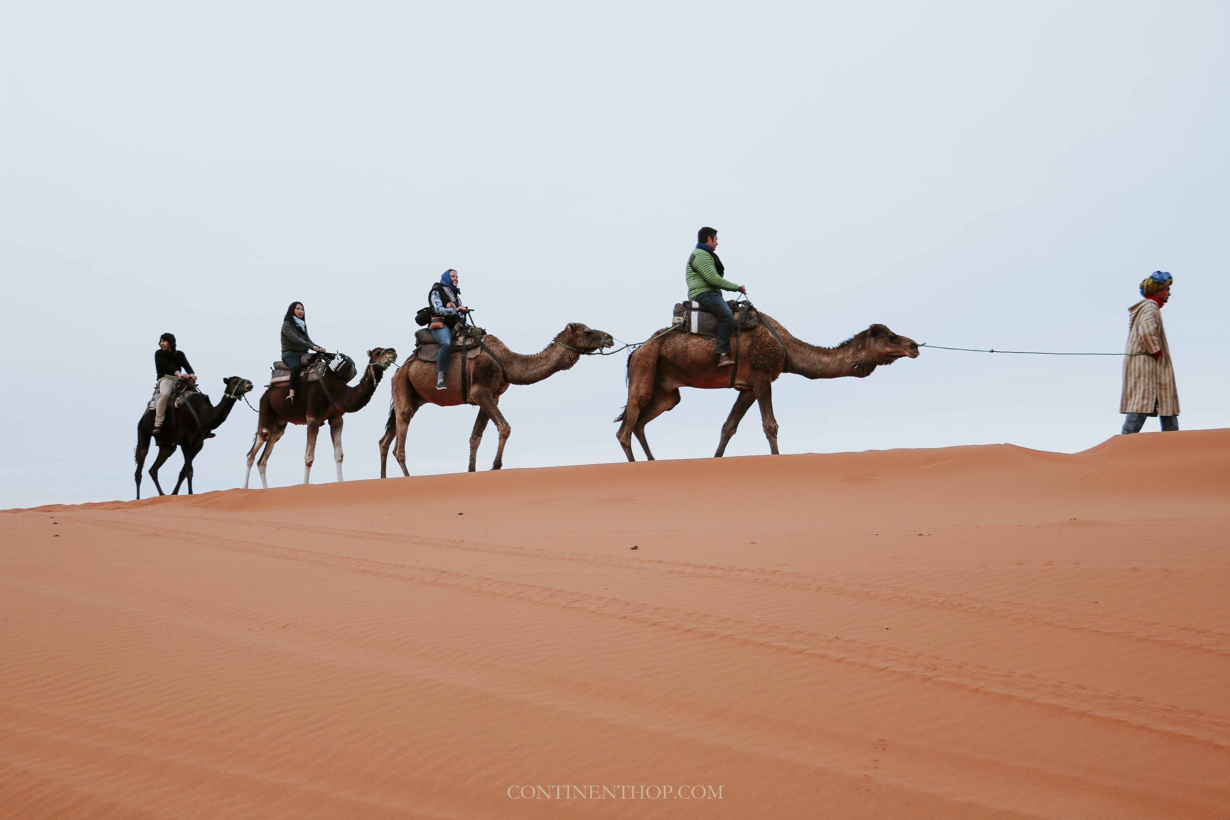 People riding on camels in the Sahara on a Marrakech desert tours 3 days