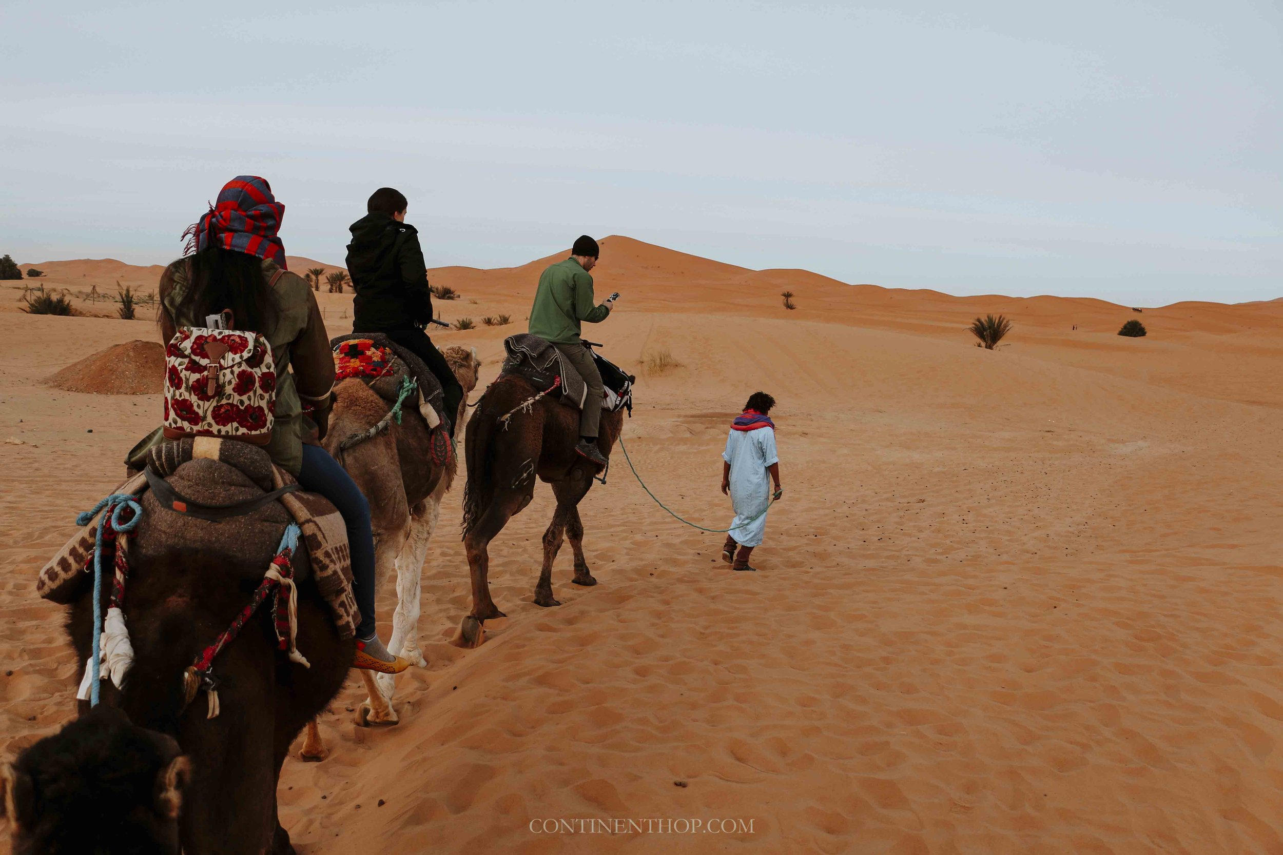 People sitting on camels in the Sahara off to a Morocco desert camp