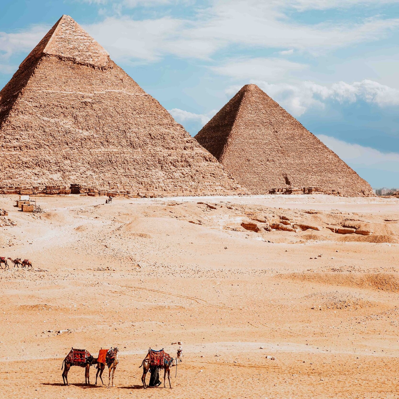 Camels in a row at the base of the pyramids on a 7 Days Egypt Itinerary