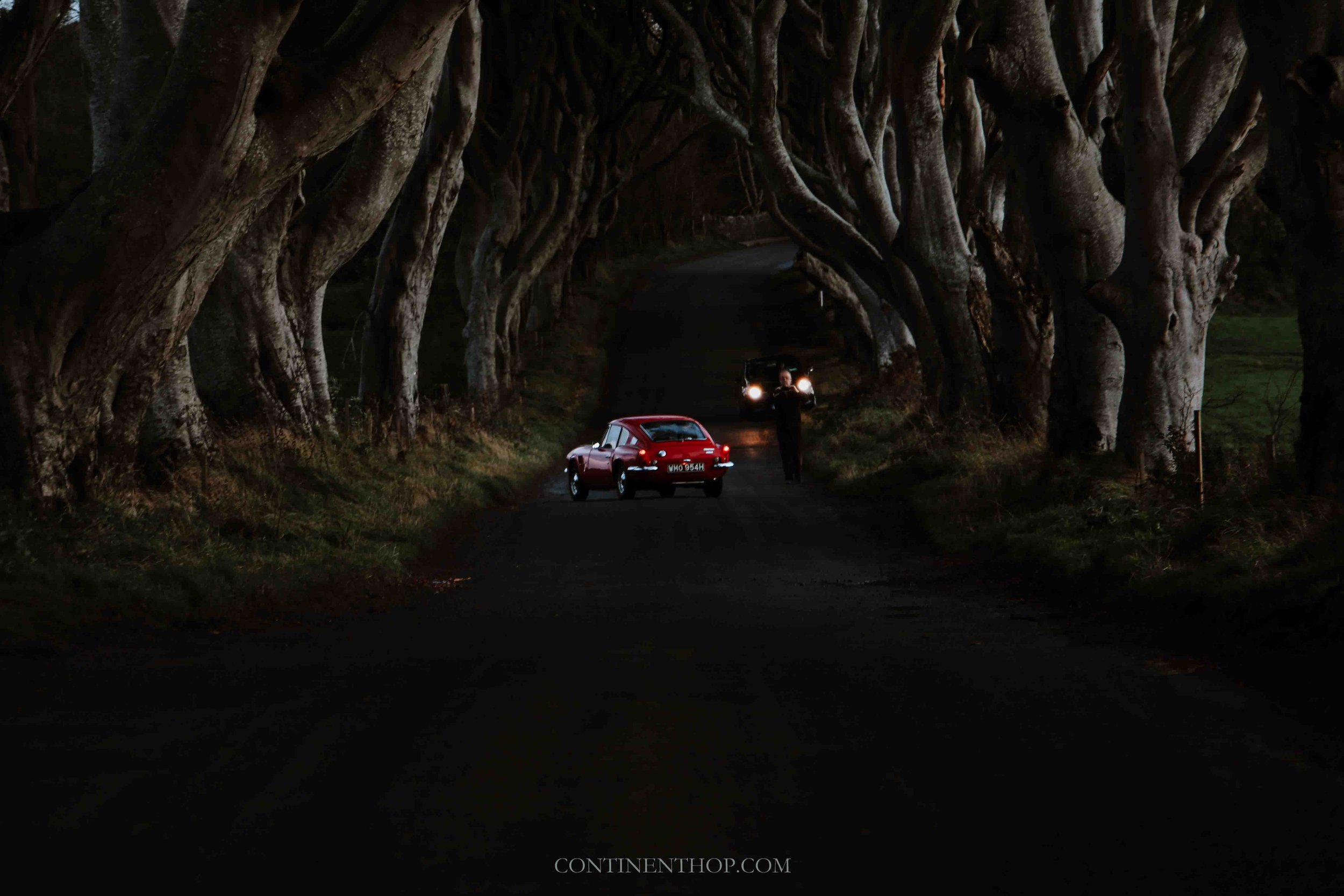 Stop from belfast to giants causeway at the dark hedges