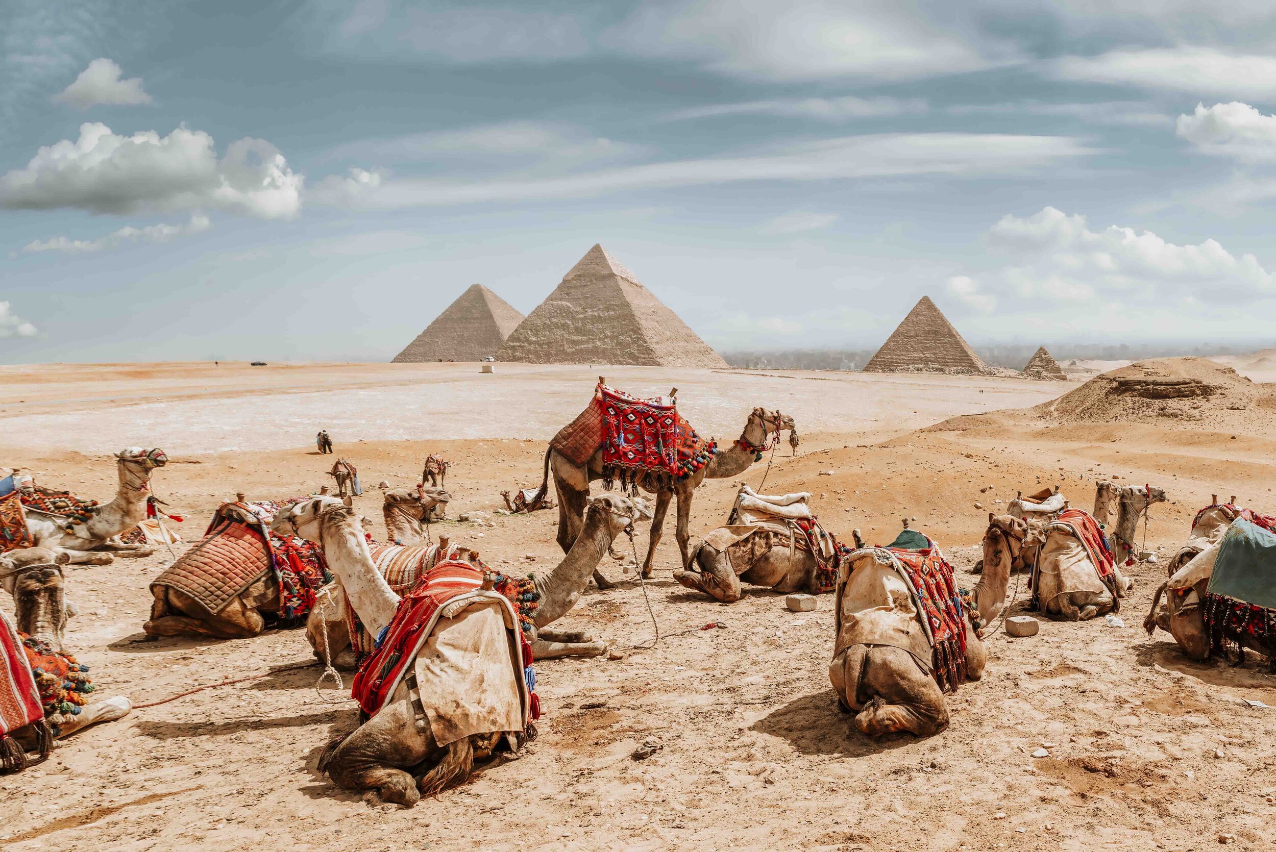 Camels sat at the base of the pyramids on a 8 Days Egypt Itinerary