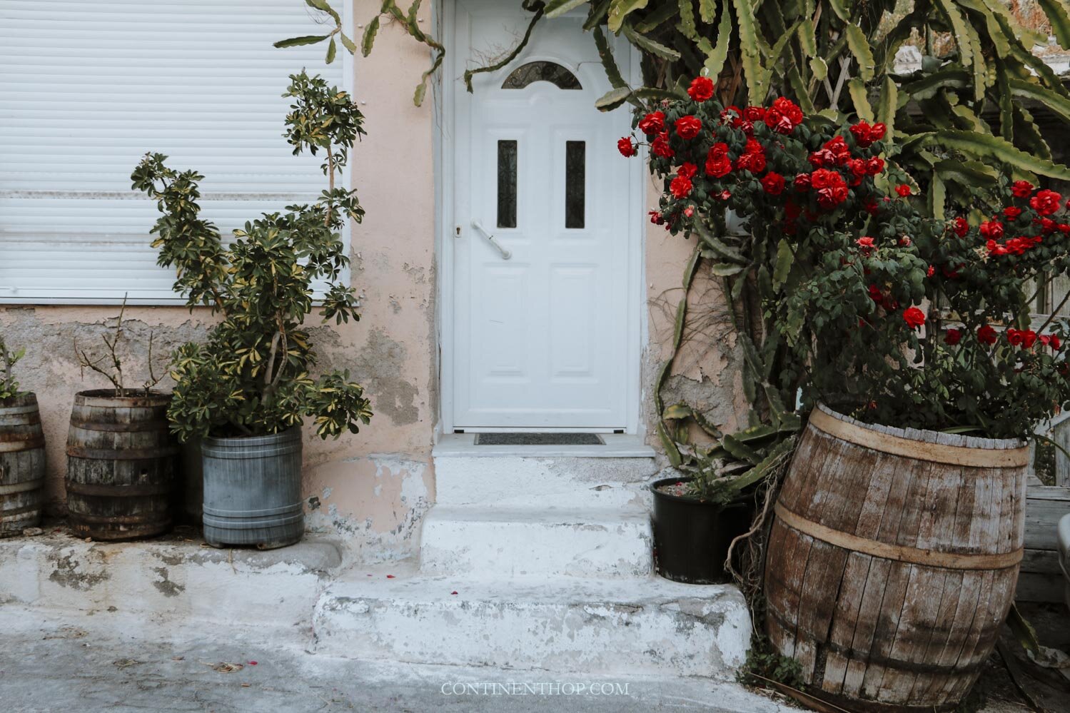 A white door and plants in Emborion Greece