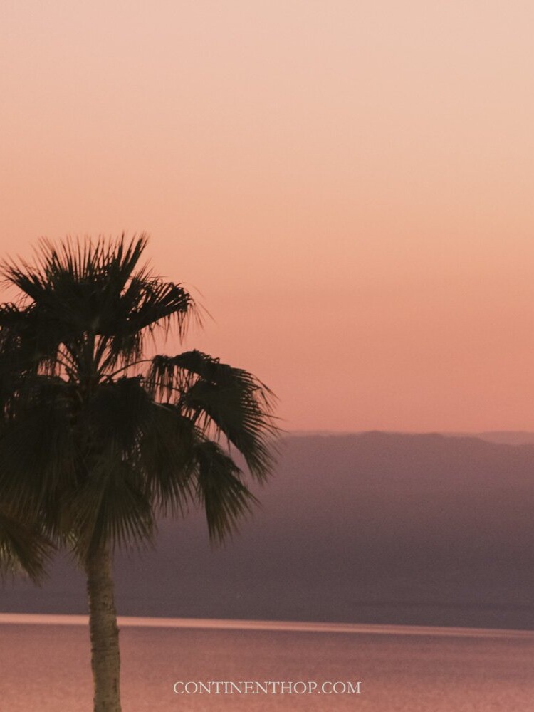 Pink sunset with palms while floating on the dead sea