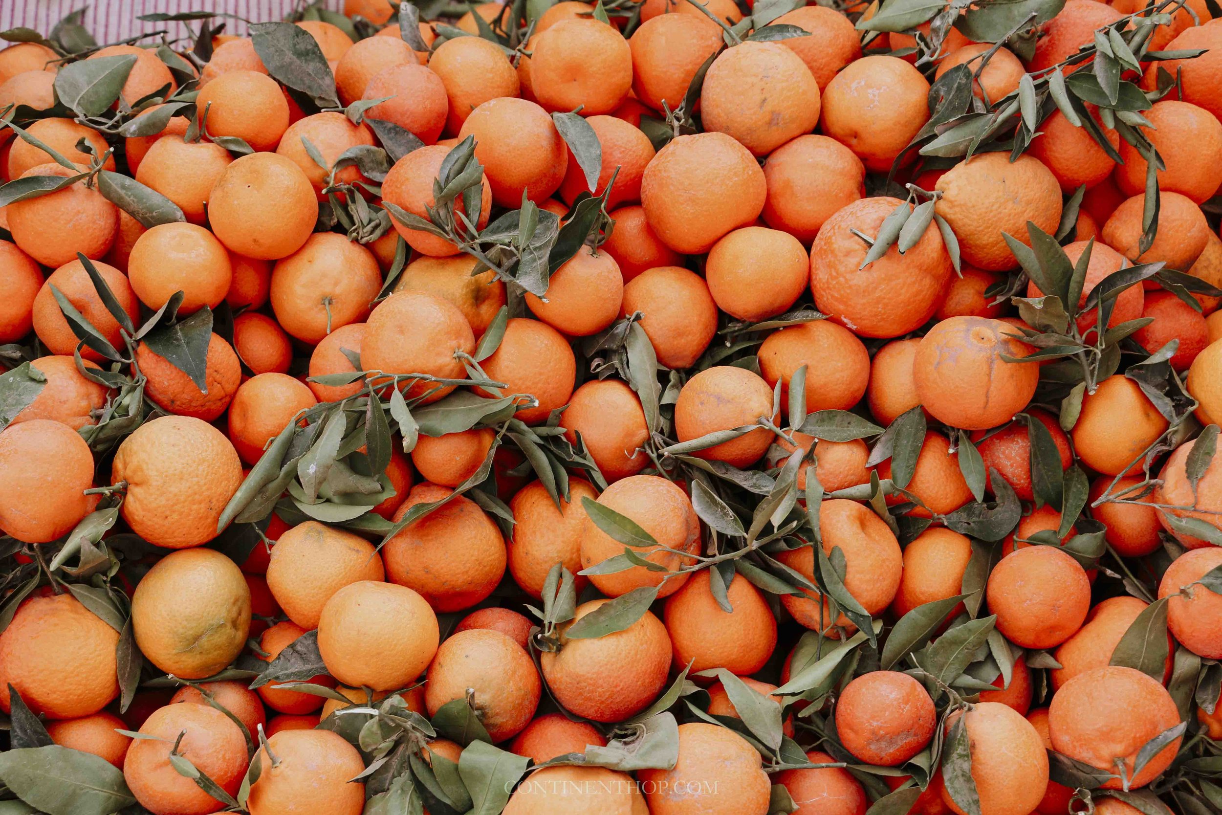 traditional moroccan foods blood oranges