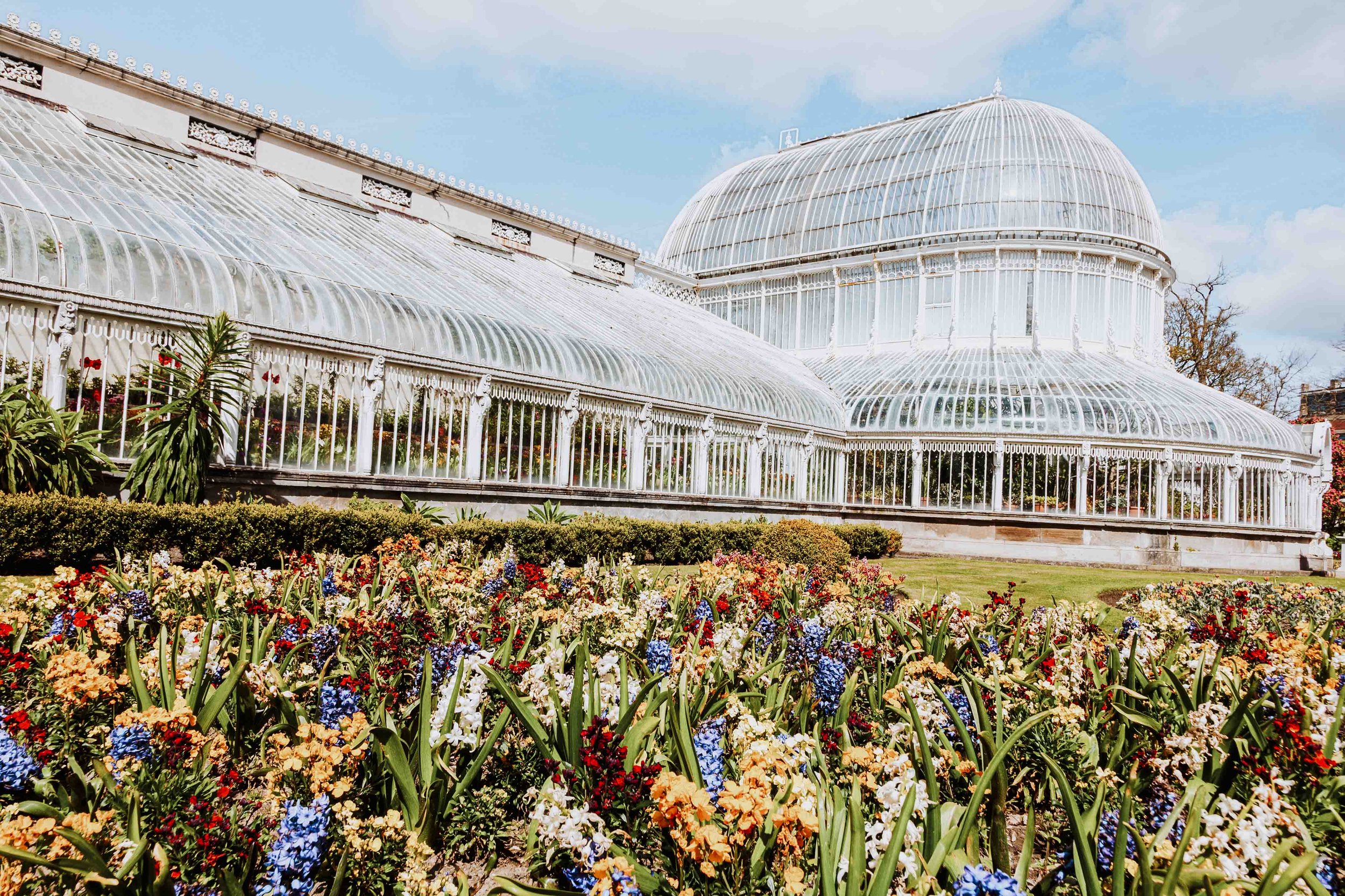 Flowers and Palm house at Botanic gardens free things to do in Belfast in a day