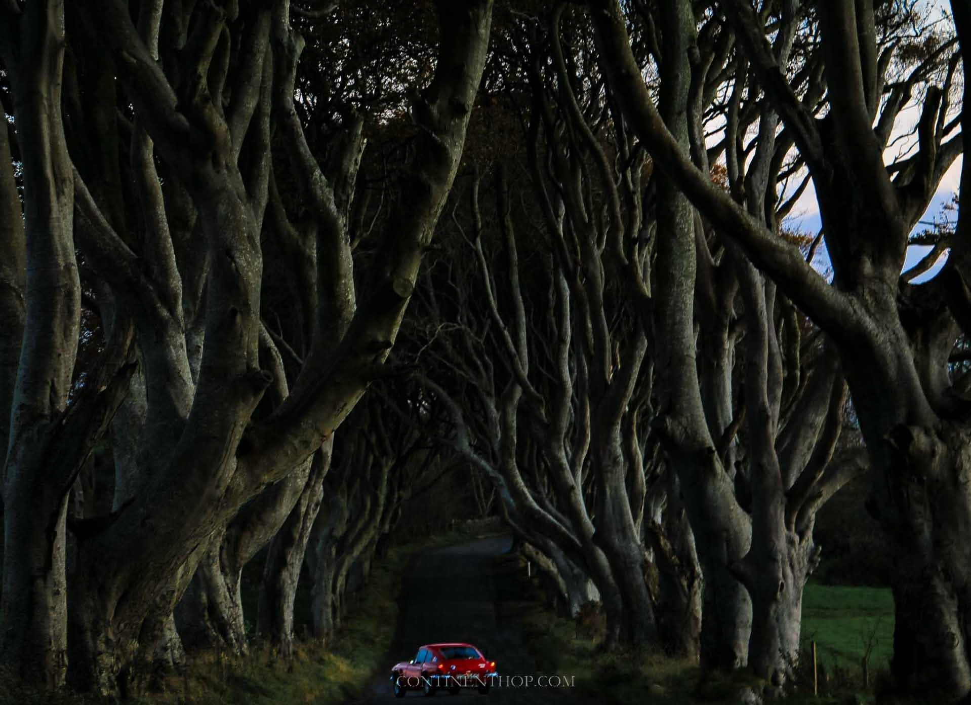 A red car inside the dark hedges in Northern Ireland Game of Thrones Locations