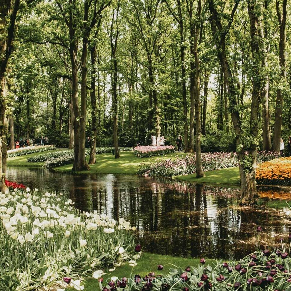 The park in Keukenhof during the holland tulip festival