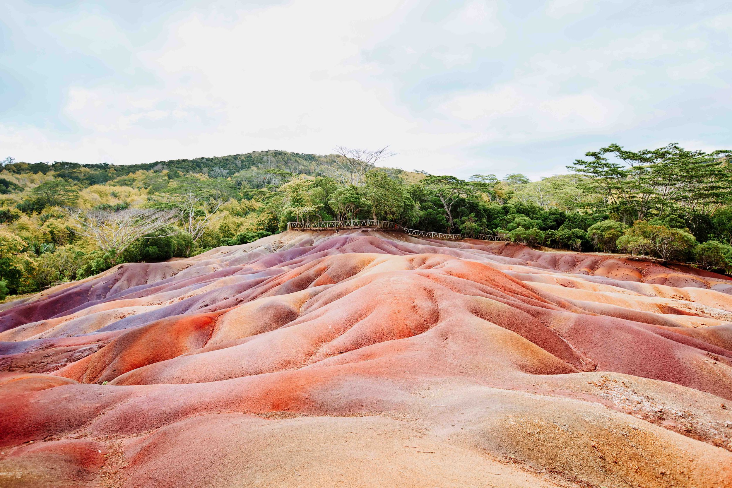 Chamarel 7 colored earth formation with trees behind in a week in Mauritius march
