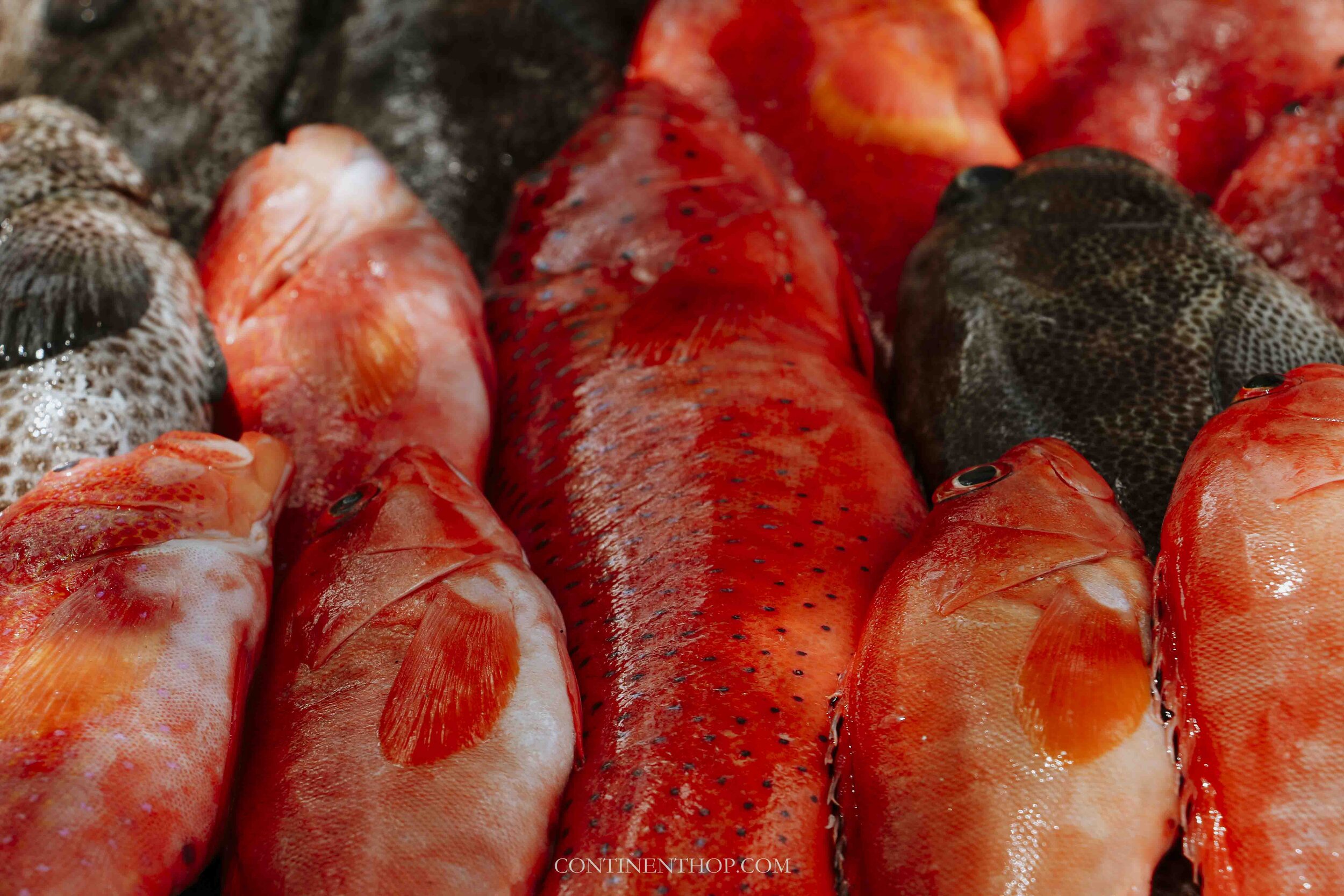 Red fish being sold in Mauritius markets