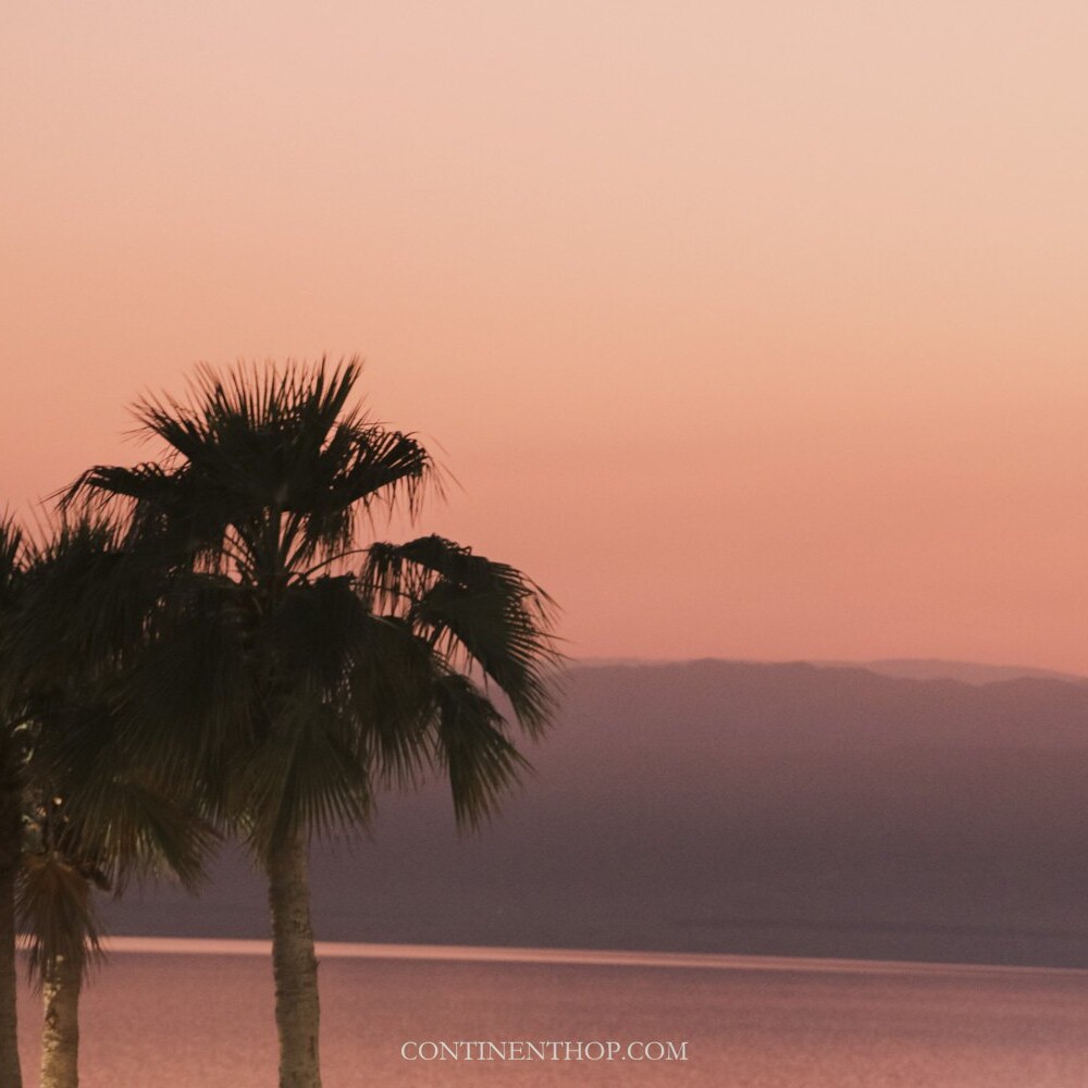 Palm trees during sunset on holiday to jordan dead sea