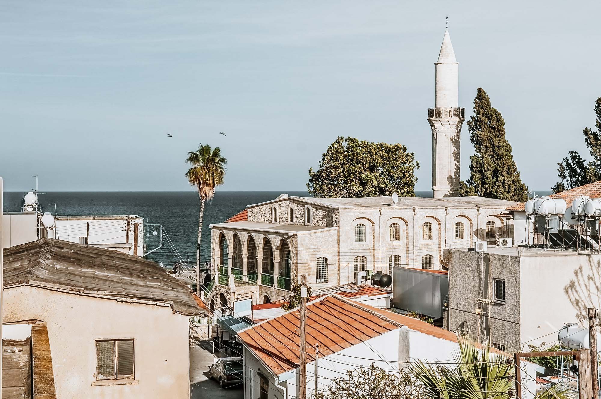 Warm Places in February Europe - Old buildings by the sea and palm trees in Limassol