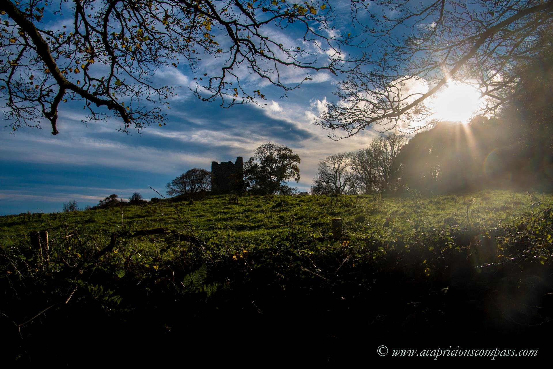 Audley’s castle in castle ward things to do in strangford