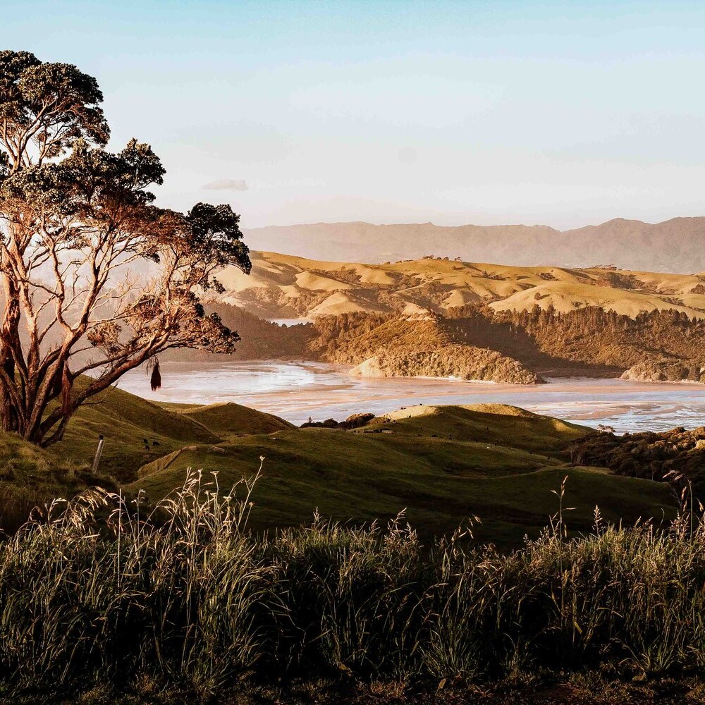 How-to-Plan-A-Charming-Road-Trip-Through-New-Zealand-continent-hop-3