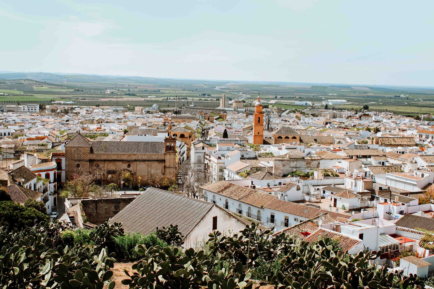 Osuna rooftops, Andalusia, Spain