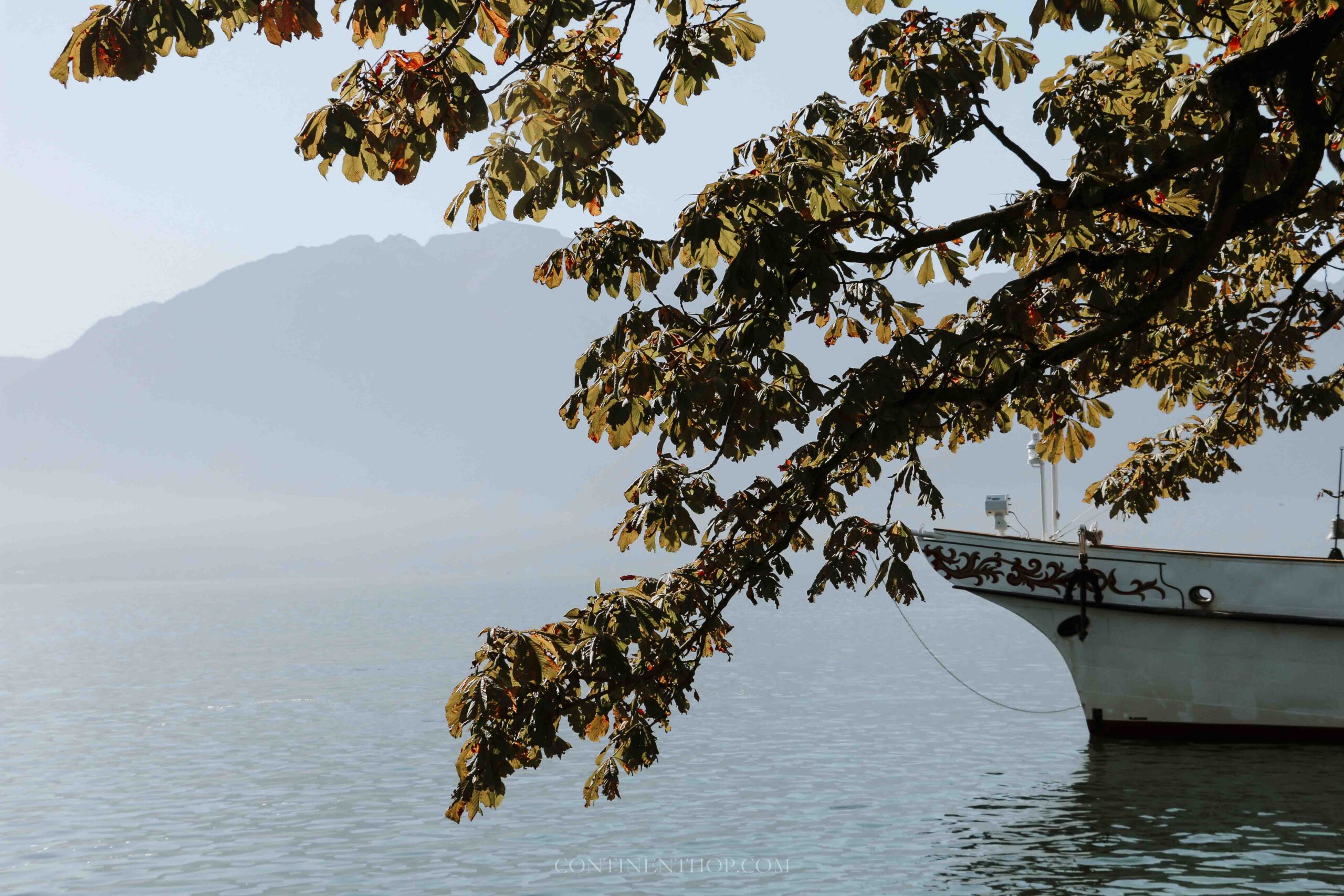 A boat docked by lake lausanne with foliage in front is swiss travel pass worth it