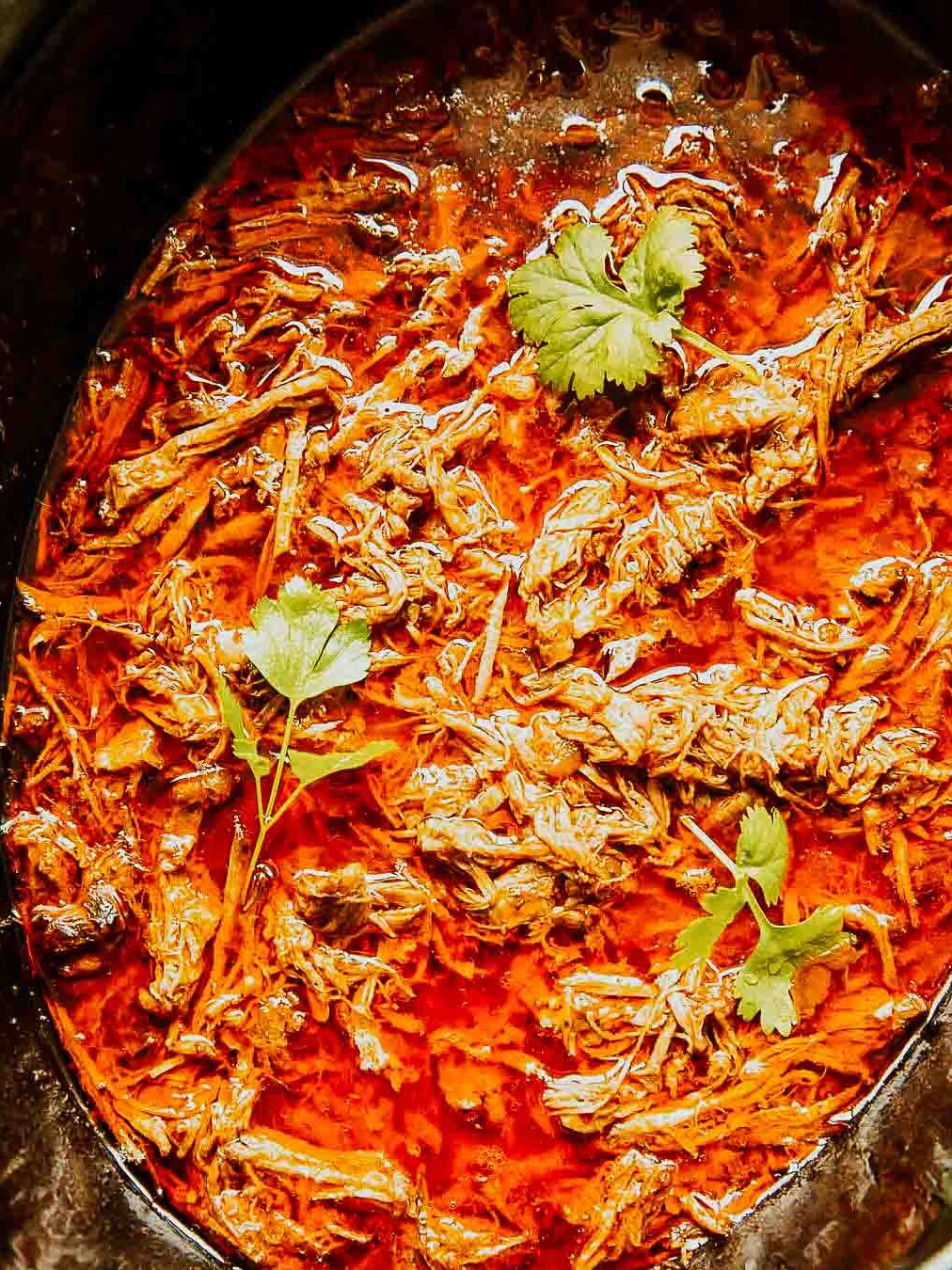 Authentic-Mexican-Recipes-Continent-Hop-1